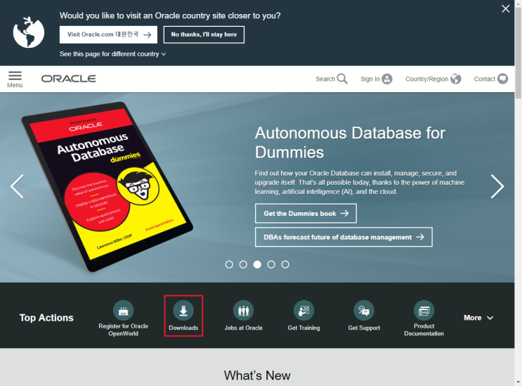  [Database] Oracle Database 11g Release 2 - install