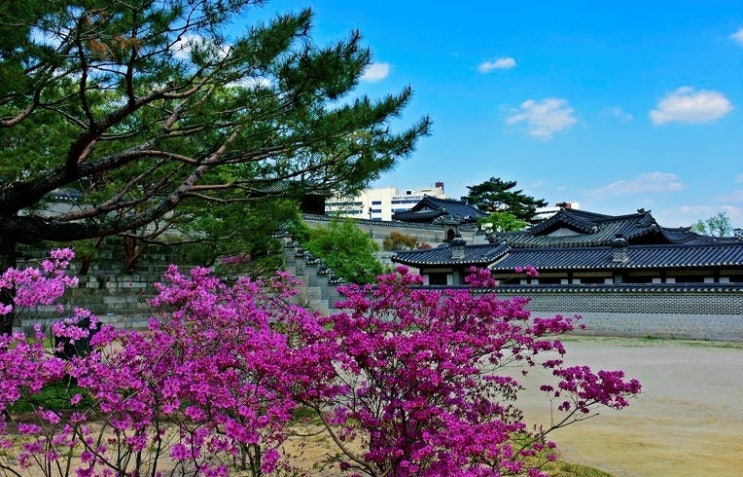  수양대군과 신숙주 그리고 성삼문