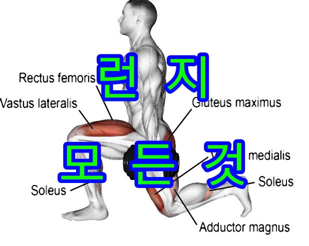 런지 자세/효과/종류/하는법 : 네이버 블로그
