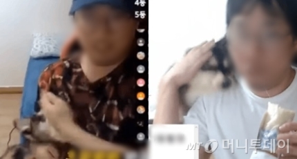 동물학대에 진짜 조폭까지 등장한 유튜브…"위험수위 넘었다" 동물학대에 진짜 조폭까지 등장한 유튜브…"위험수위 넘었다"