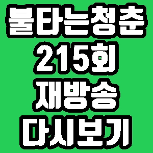 불타는청춘 김윤정 양닥터 215회 재방송 편성표 다시보기 방송시간