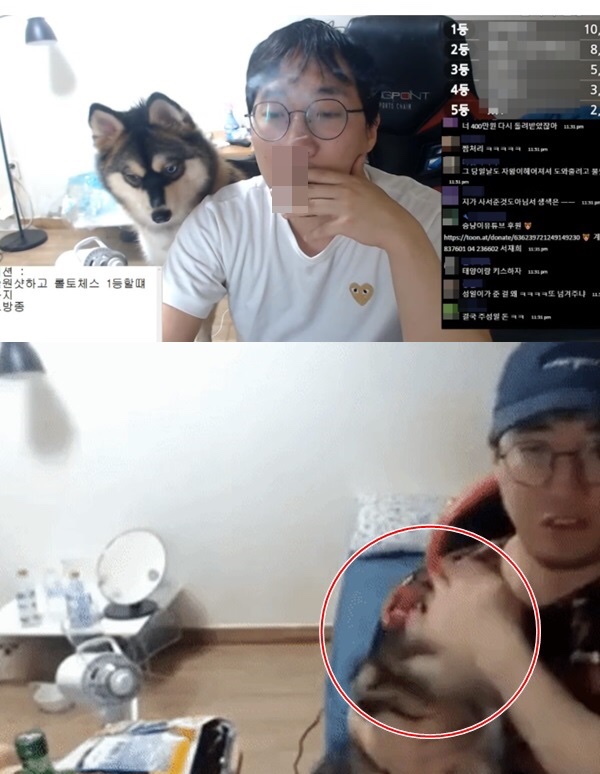 BJ승냥이 ? 강아지학대 열받네요 진짜