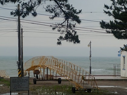 경주 야영장 감포읍 전촌해수욕장 송림오토캠핑장 : 네이버 블로그 경주 야영장 감포읍 전촌해수욕장 송림오토캠핑장 : 네이버 블로그