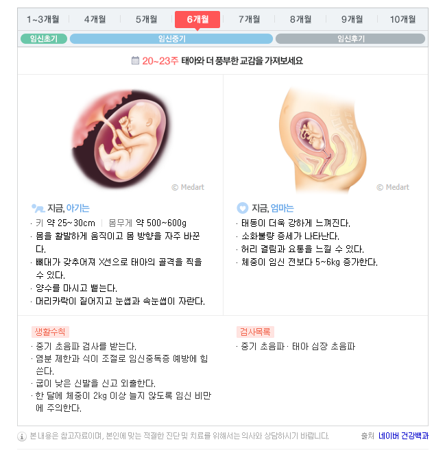 임신 22주 임신 23주 활발한 태동을 느끼는 시기 : 임신 6개월 증상 4