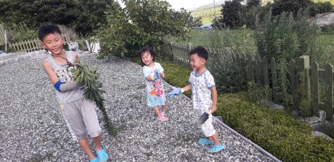 아기천사펜션 사진 4