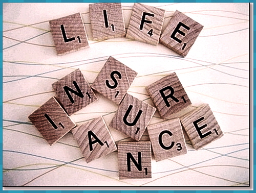  스포티지보험료 스마트한 방법