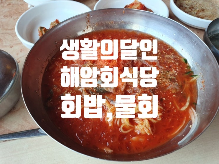  경주 생활의달인 방송된 해암회식당, 회밥과 물회먹고왔어요