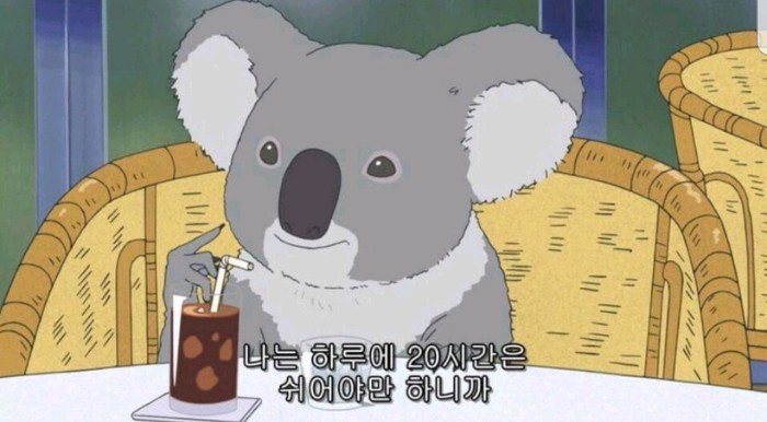  수시컨설팅 - 자소서컨설팅 학생부컨설팅 면접컨설팅