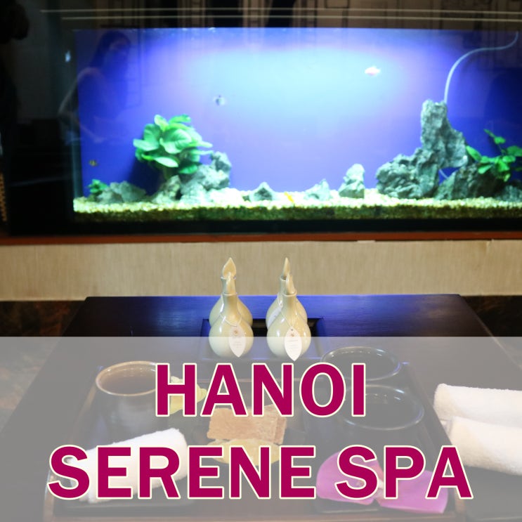  하노이 마사지 세레네 스파 할인예약 & 두 번 다녀온 리얼 후기