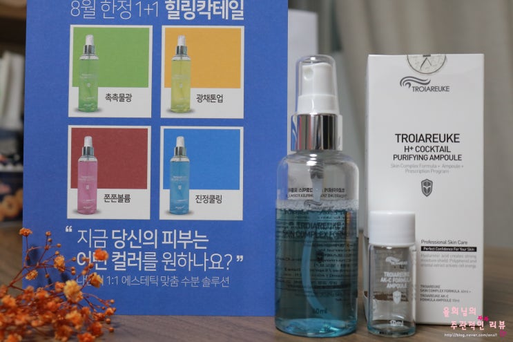  7스킨법 으로 피부진정 까지 :: 트로이아르케 힐링칵테일