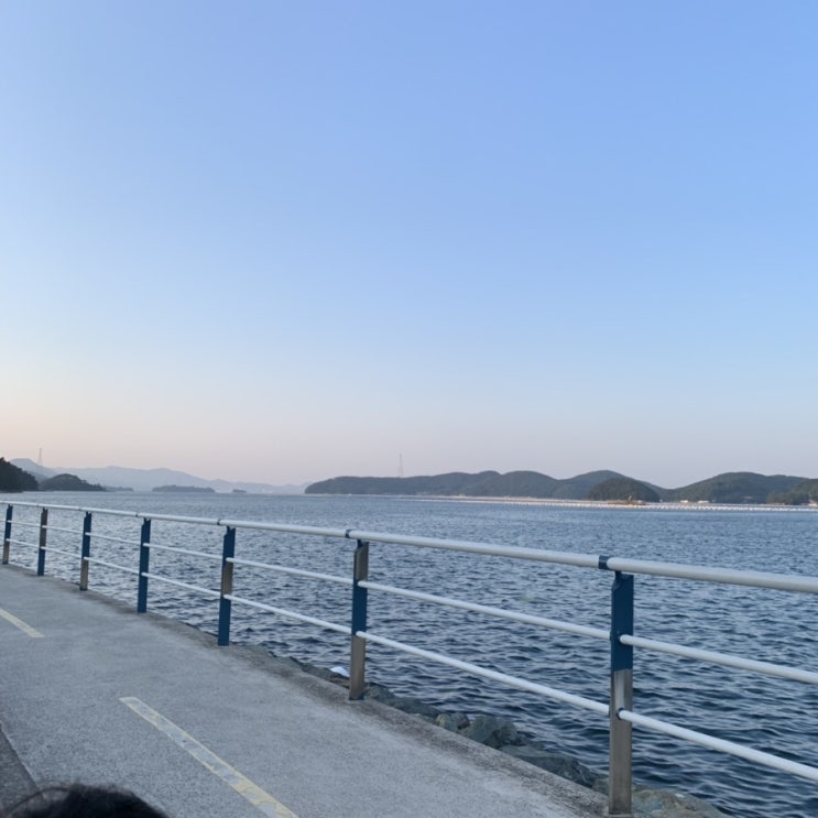  7월