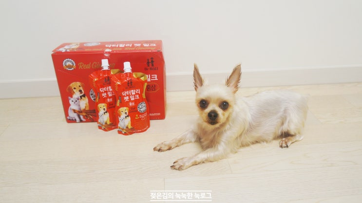 강아지우유 , 닥터할리 펫밀크로 여름나기 강아지우유 , 닥터할리 펫밀크로 여름나기