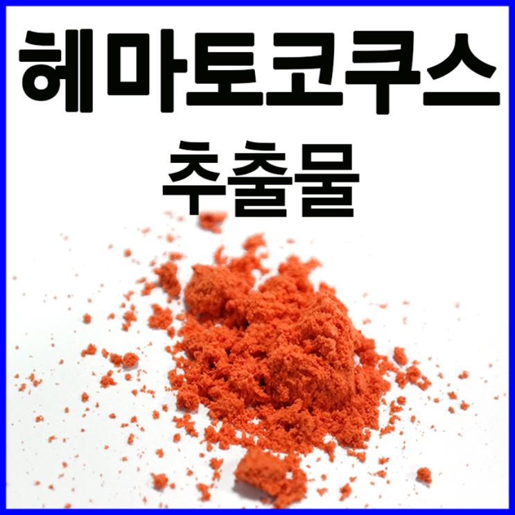  아스타잔틴 헤마토코쿠스 효능과 분말 파는곳 (해마토코쿠스 추출물 가격)