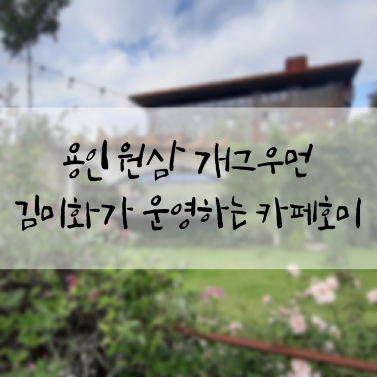  용인 원삼 개그우먼 김미화가 운영하는 카페호미
