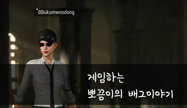  배틀그라운드(PUBG) 시즌4 업데이트 4.1패치노트(배그움짤모음)