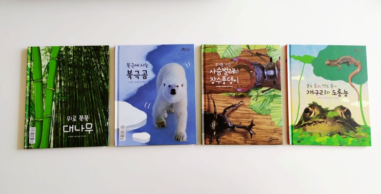  진짜같은 자연관찰 , 키즈스콜레 야호 자연아 !