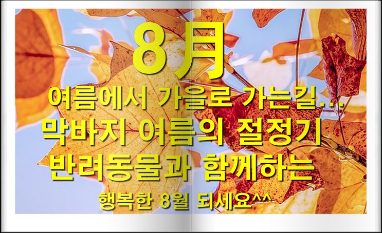  말레이시아ML 강아지 애견 말티즈동반 접종 출국서류 검역 허가 고양이[해외에이전시요청]현지인반려견 기내/수하물/수화물 운송서비스