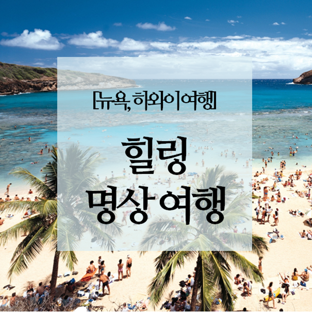  [선정릉역 여행사명상여행사][뉴욕, 하와이여행] 뉴욕, 하와이 힐링 명상여행