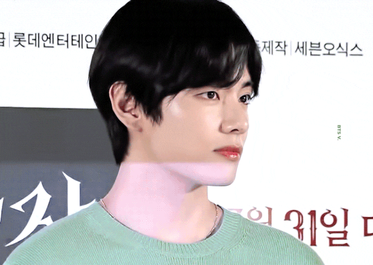  [태형] 아무래도 기자분들이 주접을 배우시는 것 같아요
