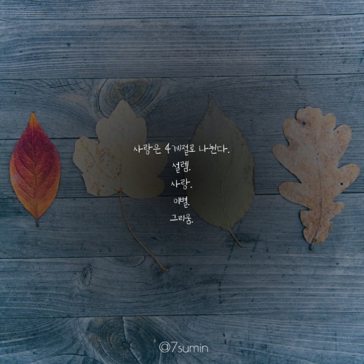  사랑