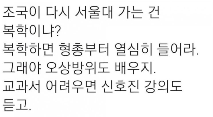  조국이 조국에게 : 폴리페서는 서울대 교수 그만두세요