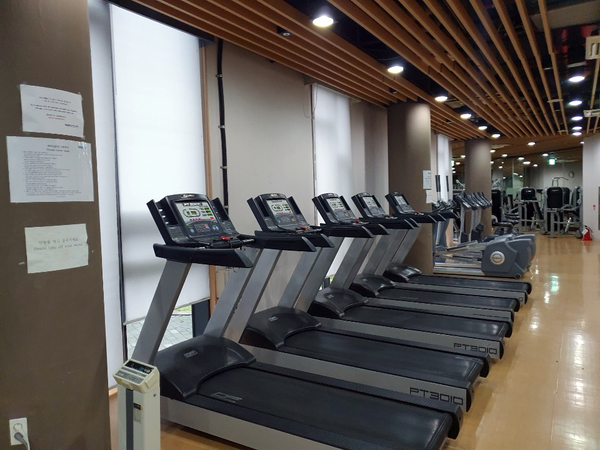  05. 포노 사피엔스