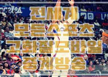  한화이글스 kt위즈 크보분석 8월1일 경기예측전문분석