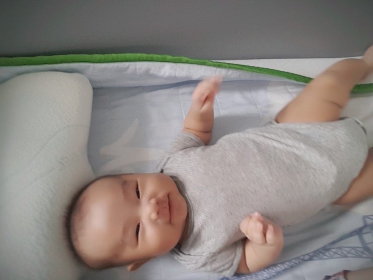  누워있기, 안겨있기 좋아하는 하랑이