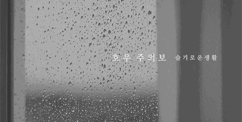  [ 세븐틴 빙의글 / 권순영 빙의글 / 이지훈 빙의글 ] 호우주의보 10