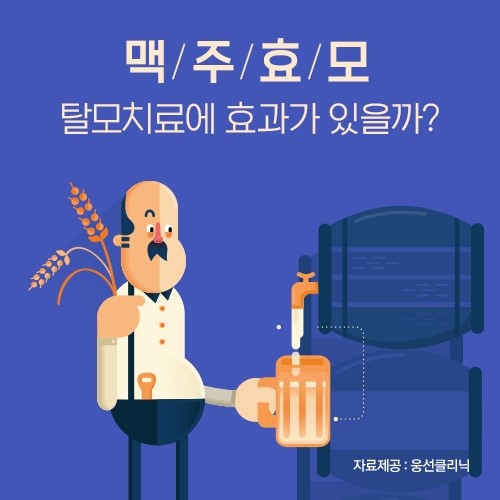  맥주효모, 탈모치료에 효과가 있을까?