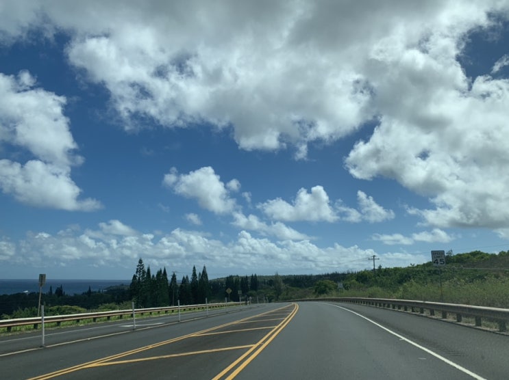 19년 7월, 하와이여행기 2편, 마우이여행기 호놀루아베이 스노쿨링/ 라하이나 부바검프 / 라하이나그릴