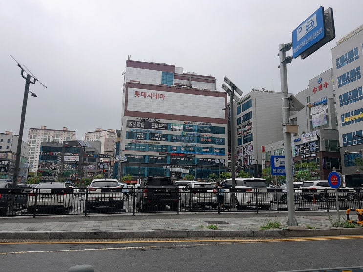  영화 엑시트 솔직후기!!