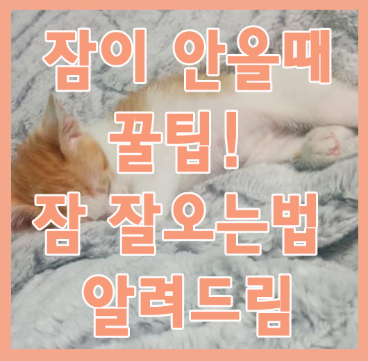  잠이 안올때 꿀팁! 잠 잘오는법 알려드림
