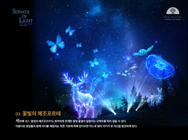  오크밸리 빛의 향연 " 소나타 오브 라이트 SONATA OF LIGHT "