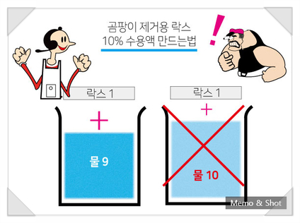  곰팡이 닦는 살균 세제 어떤 것을 사용하면 안전할까? 락스와 다른 세제의 종류와 원료에 대한 기초적인 상식을 알아봅시다