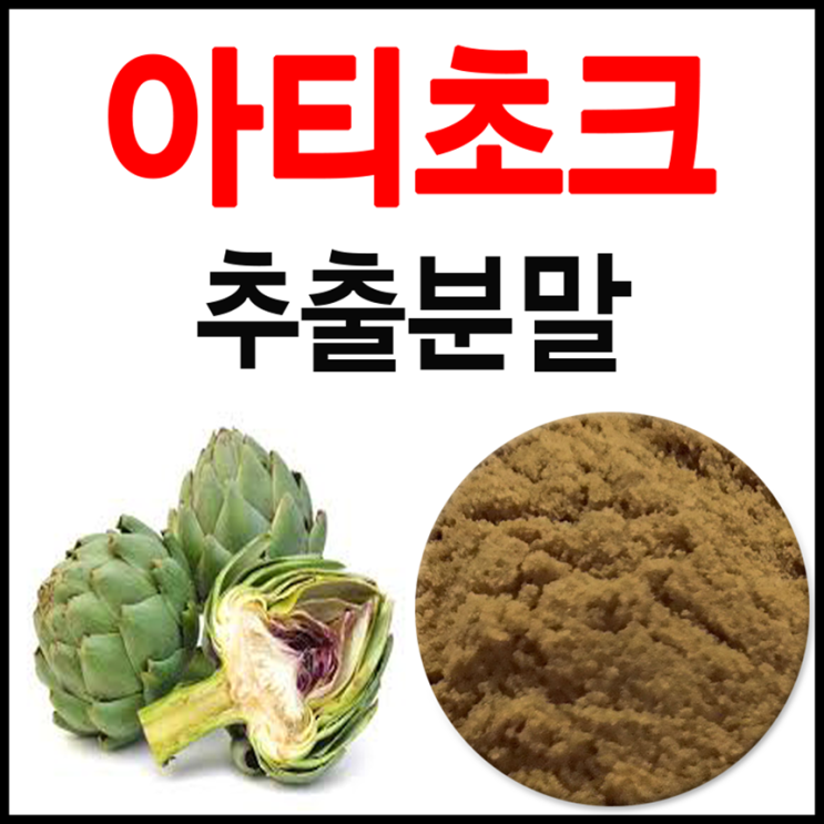 ARTICHOKE 귀족채소 아티초크 효능과 분말 먹는법 (아티초크 가격 파는곳)