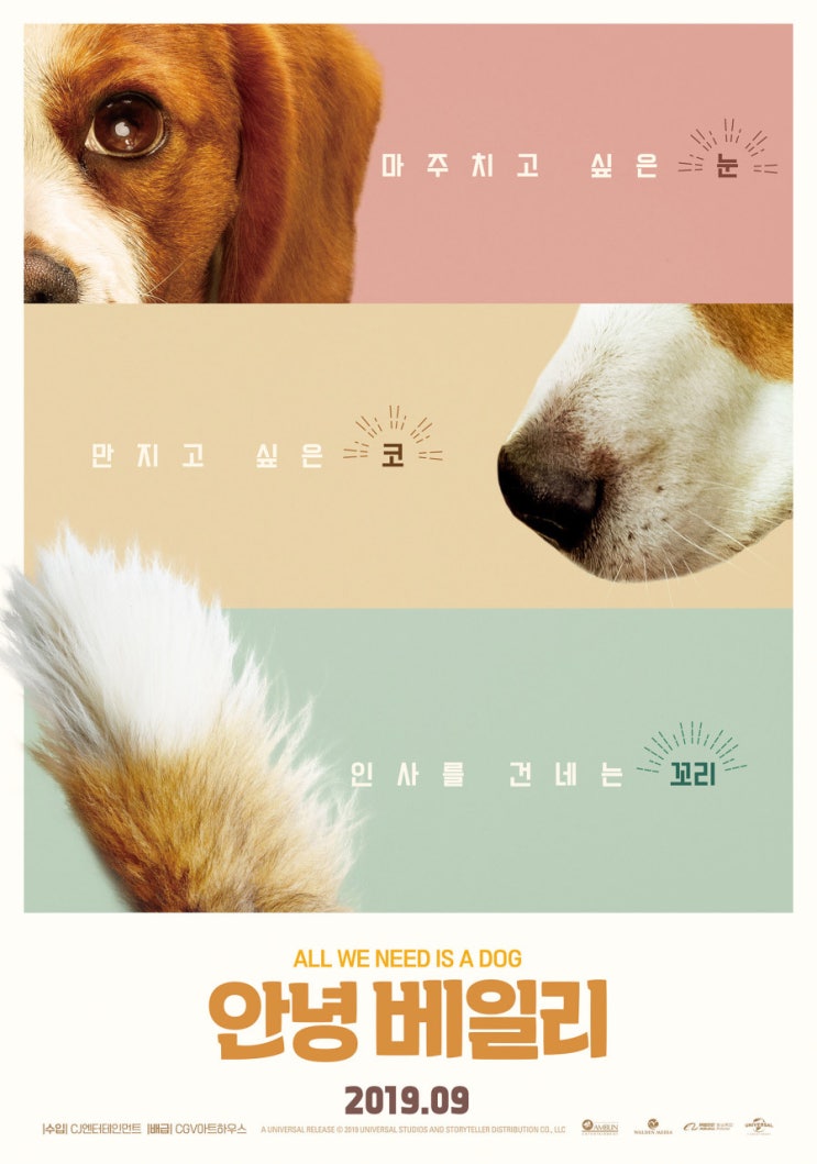  9월 개봉영화 <안녕 베일리> 교감을 나눌 수 있는 준비된 자세