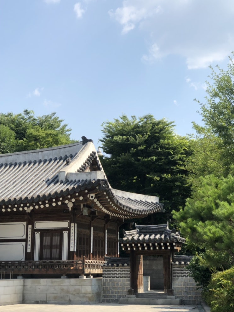  2019년 27주차,  장고 끝에 둔 수가 꼭 악수만은 아니다