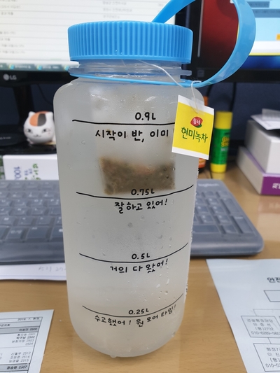  다이어트 일기(19.7.31.)