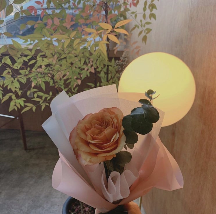  [방학 일상]생일이 하루가 아니야? (고구마케이크, 가장맛있는족발,평택_센서빌리티카페, 단포포 , 강남역맛집_딘딘향, 베라, 스타벅스, 나인로드 피제리아, 카페더나인)