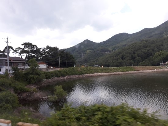   성 알퐁소 마리아 데 리구오리 주교 학자기념일