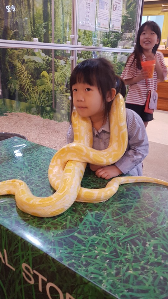  애니멀스토리 창원 실내 동물원 먹이 체험