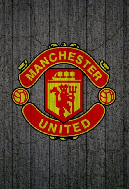  [2019 EPL 여름 이적시장 Ⅵ] 맨유 이적시장, 맨유는 누구를 영입할까?