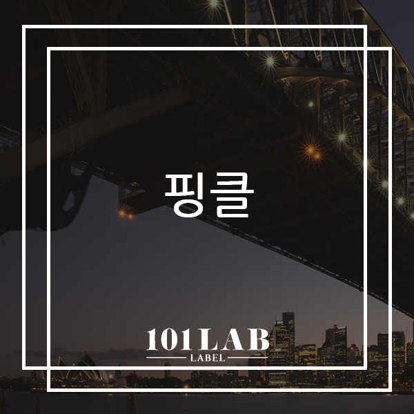  핑클에 대해 알아볼까요?[강남보컬학원 보컬레슨 101랩레이블]