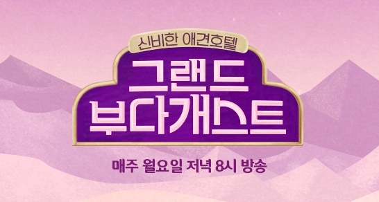  그랜드 부다개스트 보셨나요?