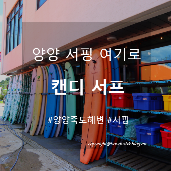  양양서핑,양양게스트하우스 고민하지 말고 여기로 가자. 친구들과 꿀잼 서핑 여행! (서핑 준비물 및 꿀팁) :: 캔디 서프