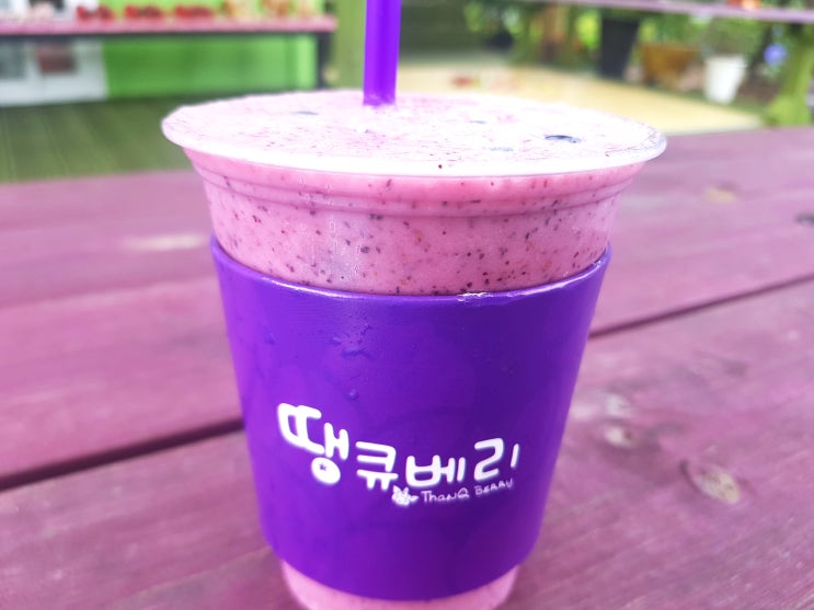  서귀포 서귀 블루베리전문카페 5%할인쿠폰!