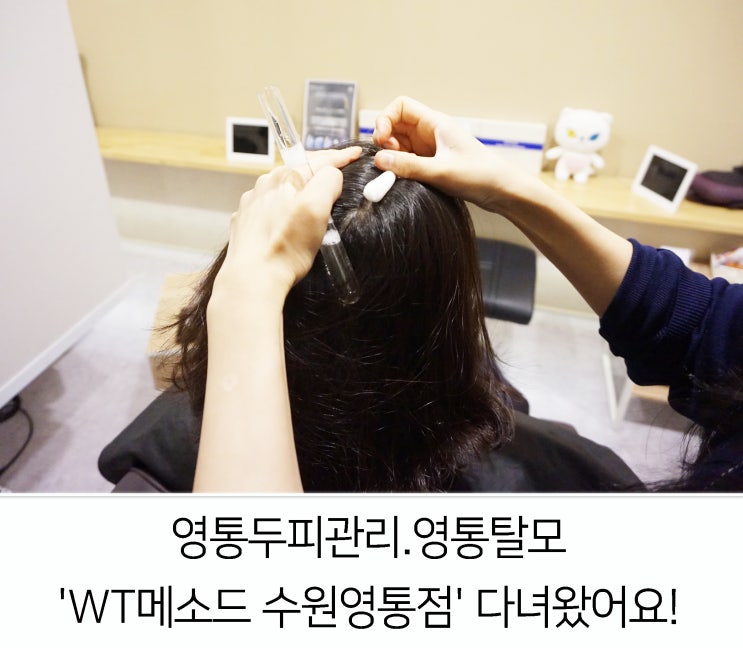  영통두피관리.영통탈모  'WT메소드 수원영통점' 다녀왔어요!
