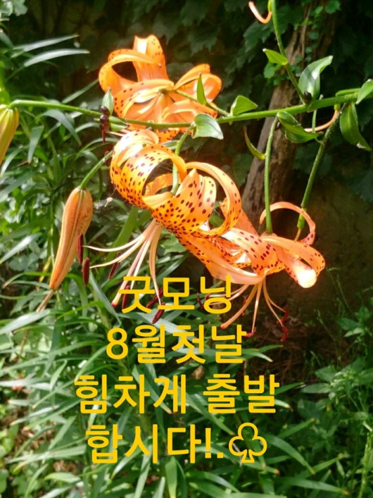  8월1일 목요일