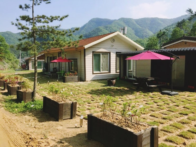  나비부적 이성을 끌어들이는 매력적인 힘~